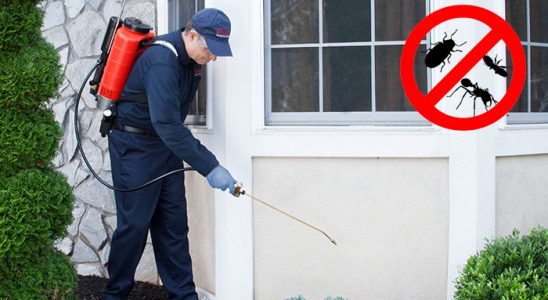 Bodrum Karınca İlaçlama böcek ilaçlama ve haşere kontrolü — ilaclama-tr.com